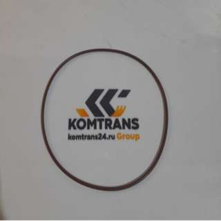 Кольцо уплотнительное (для поворотного насоса) 2863702X