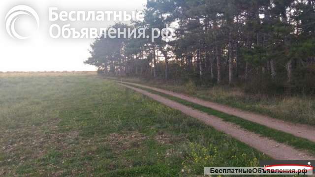 Участок 2 га в Севастополе