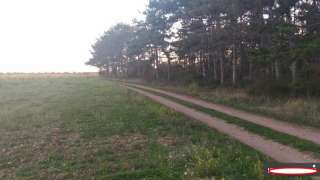 Участок 2 га в Севастополе