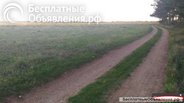Участок 2 га в Севастополе