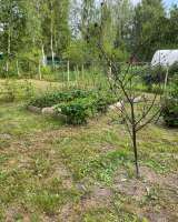 Дачный участок в г. Владимире