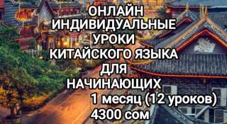 Индивидуальные уроки китайского для начинающих онлайн