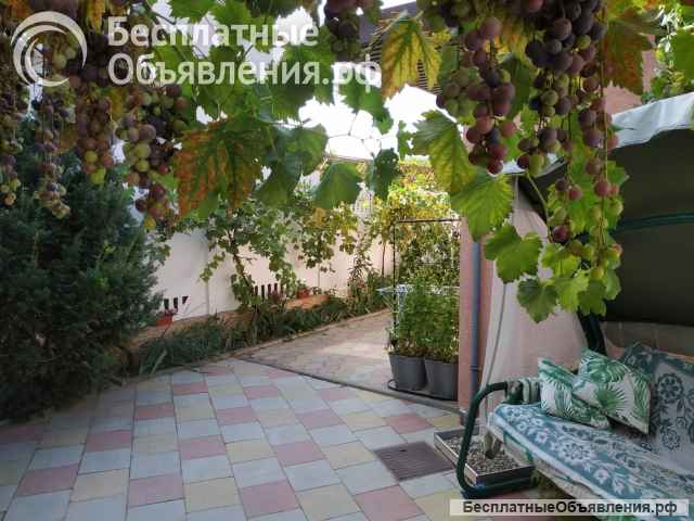 Сдам номер-люкс