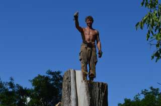 Спил деревьев