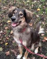 Активная и веселая Айва