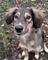 Активная и веселая Айва