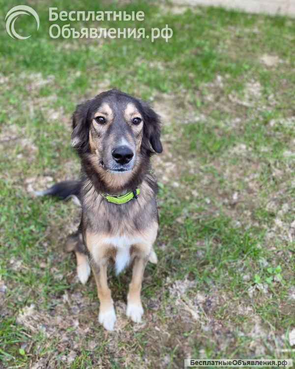 Активная и веселая Айва