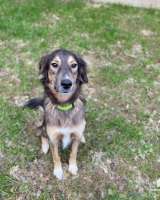 Активная и веселая Айва