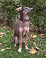 Активная и веселая Айва