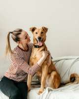 Лион-собака душа ищет дом