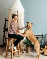 Лион-собака душа ищет дом