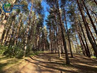 ЗЕМЕЛЬНЫЕ УЧАСТКИ на берегу Рыбинского водохранилища от 10 соток