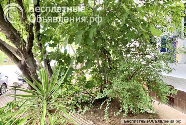 1 комнатная квартира Ул Героев Бреста