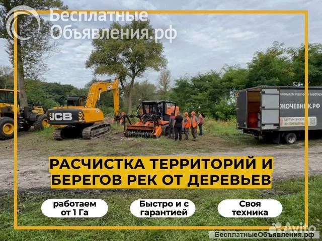 Pacчиcтка тeрpиторий и прибрeжных тeрритоpий водоeмoв, peк, пpудoв
