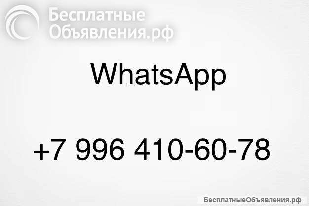 Щенки той пуделя