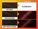 GARNIER Color Shine роскошь тон краска уход для волос 3.6 черная вишня стойкая