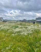 Участок в Федоскино