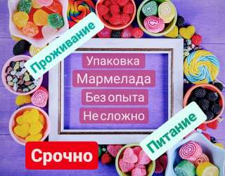Укладчик на производство с проживанием