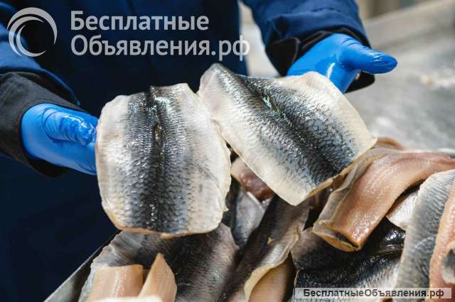 Требуются обработчики рыбы