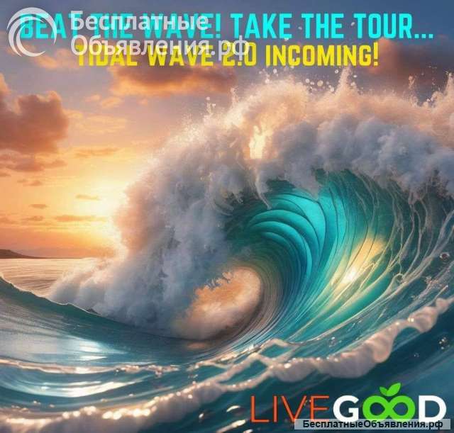 Ищу партнеров