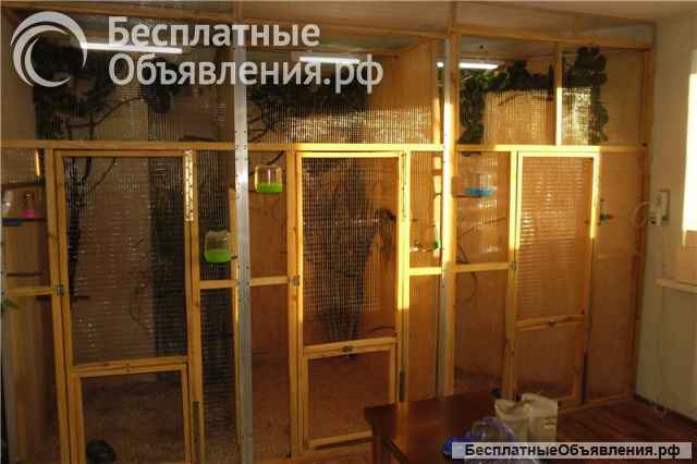 Вольер для попугаев