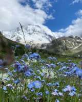 Экскурсионные туры по Северному Кавказу