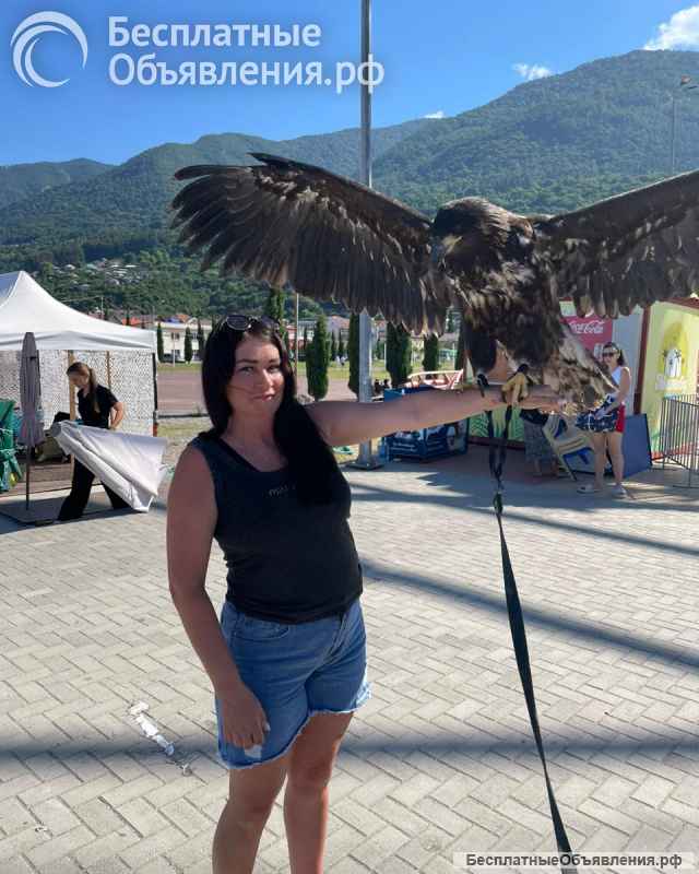 Джиппинг в Абхазию из Сочи на озеро Рица и Гегский водопад