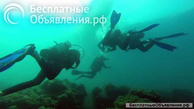 Дайвинг в Сочи на затонувший корабль