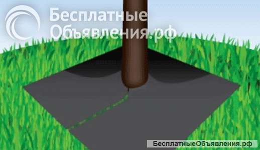 Приствольный квадрат 0,8х0,8 (4шт)