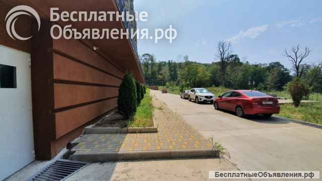 Просторная квартира в Сочи