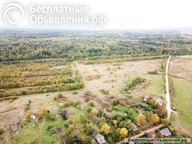 Земельный участок сельскохозяйственного назначения вблизи д. Тозырево