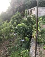 Земельный участок с вет.стр. в г Сухум