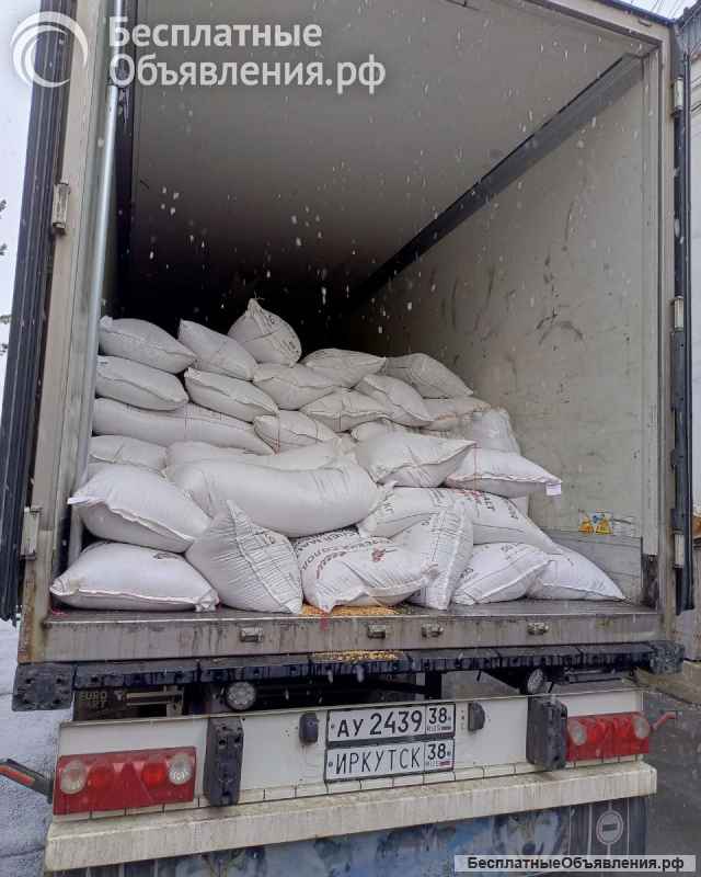 Грузчики от компании Искра