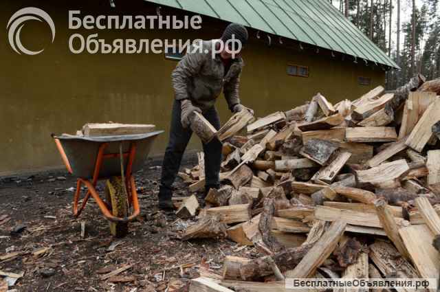 Разнорабочие, землекопы