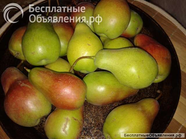 Груши, чернослив