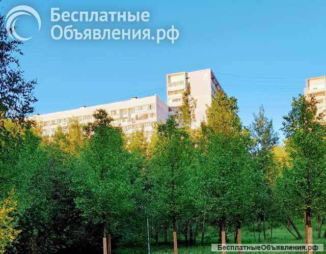 Двухкомнатная квартире