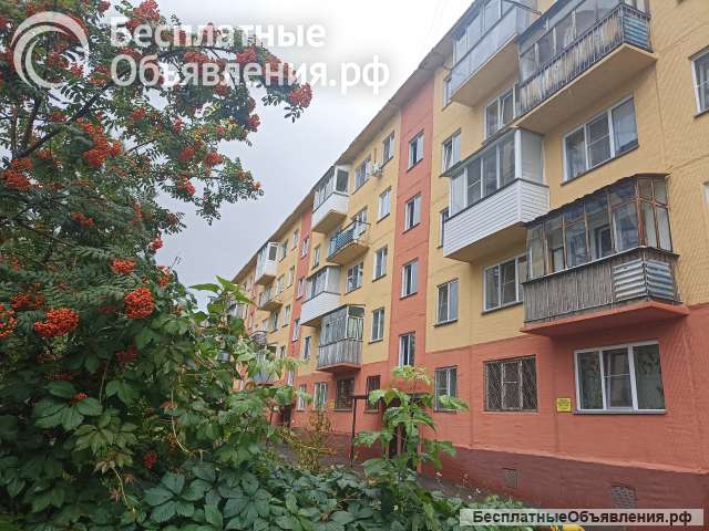 1ком. квартиру ул. Перевозчикова, 10 м. Заельцовская