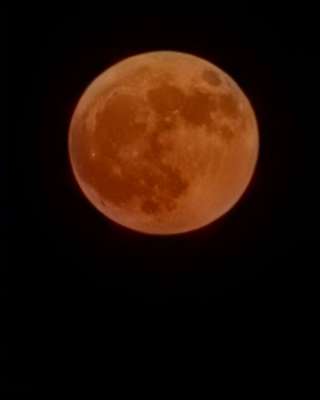 Возможность хорошего заработка