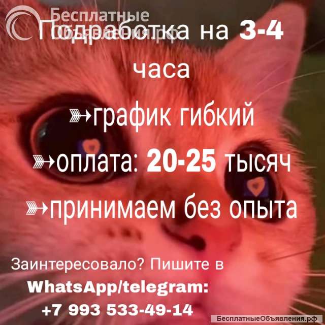 Оператор соц.сетей