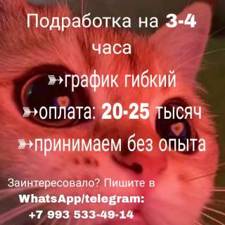 Оператор соц.сетей