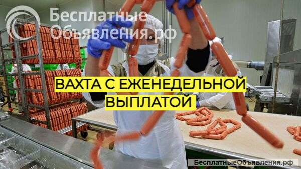 Требуется Упаковщик Вахта