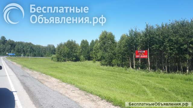 1,6 га на трассе