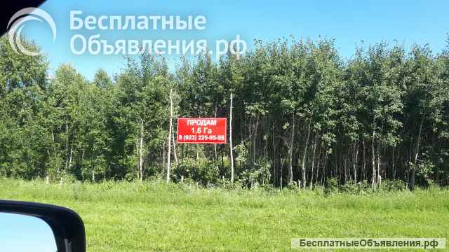 1,6 га на трассе