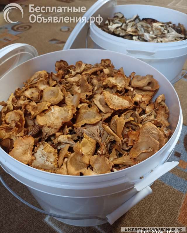 Грибы сушеные