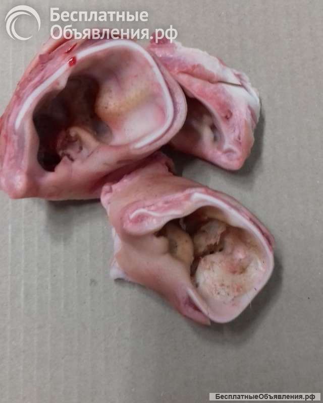 Ушные раковины свиные. Свиная разделка.