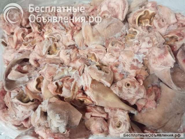 Ушные раковины свиные. Свиная разделка.