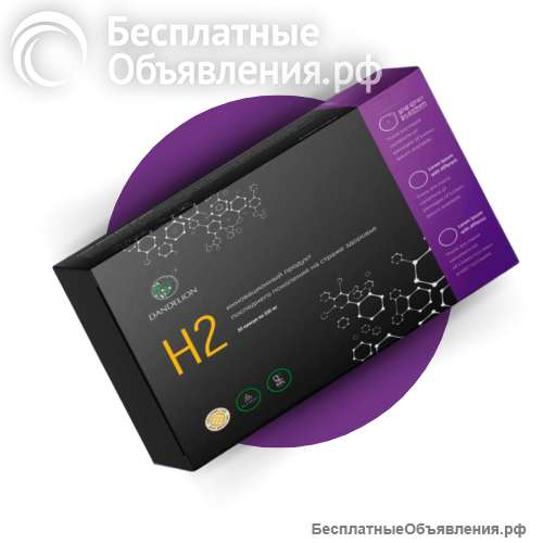 Компания Dandelion приглашает партнеров с Санкт-Петербурга