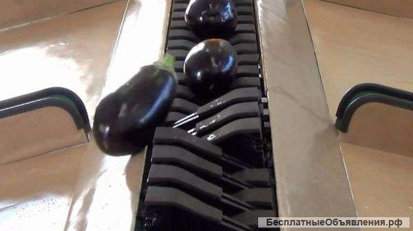 Универсальный сортировщик - калибратор овощей