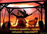 Растяжка на тренажёре правИло в Ростове-на-Дону