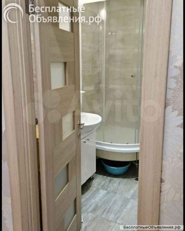 1 комнатная квартира. Античный пр-т